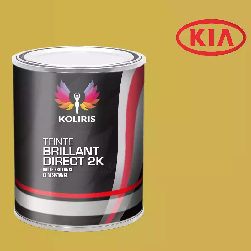 Peinture voiture brillant direct VOC420 Kia