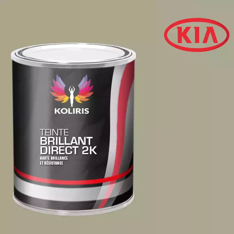 Peinture voiture brillant direct VOC420 Kia