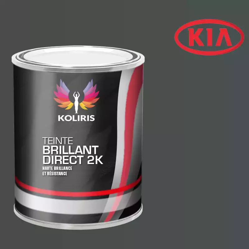 Peinture voiture brillant direct VOC420 Kia