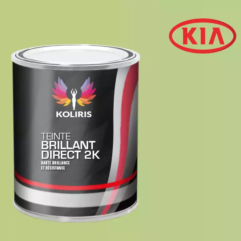 Peinture voiture brillant direct VOC420 Kia