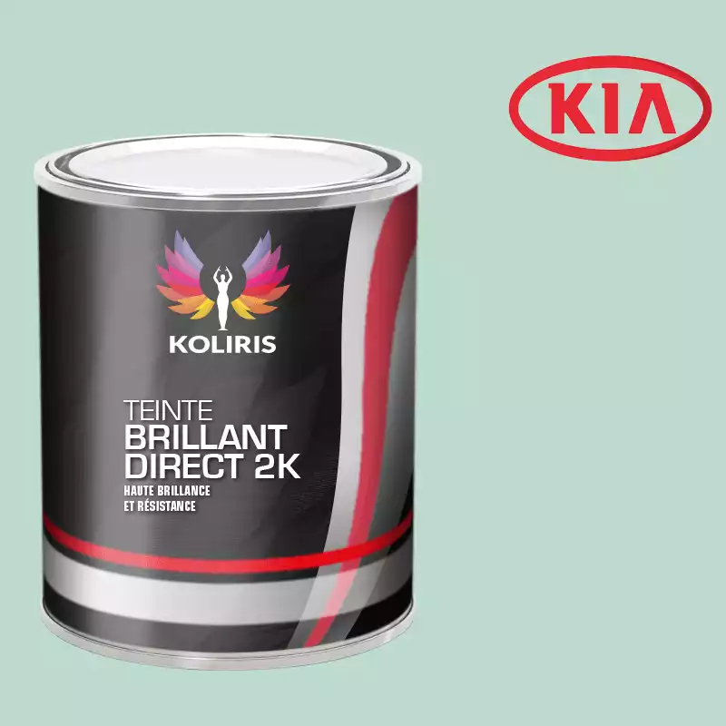 Peinture voiture brillant direct VOC420 Kia