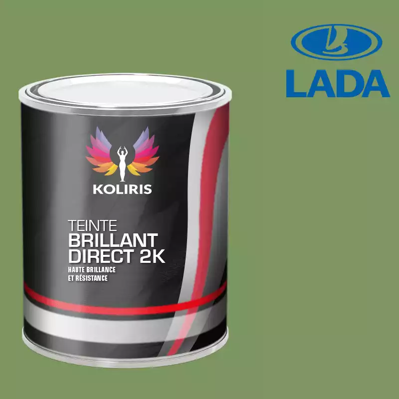 Peinture voiture brillant direct VOC420 Lada