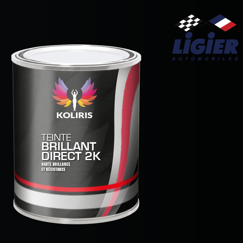 Peinture voiture brillant direct VOC420 Ligier