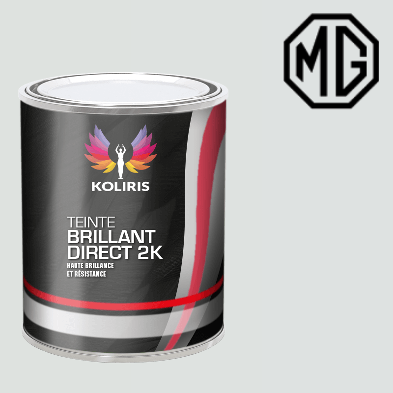 Peinture voiture brillant direct VOC420 Mg