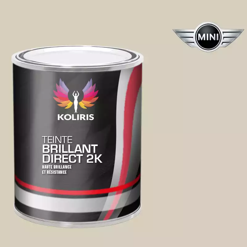 Peinture voiture brillant direct VOC420 Mini