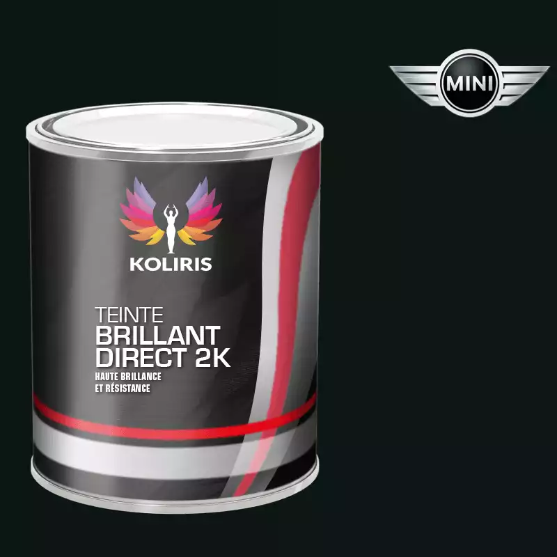 Peinture voiture brillant direct VOC420 Mini