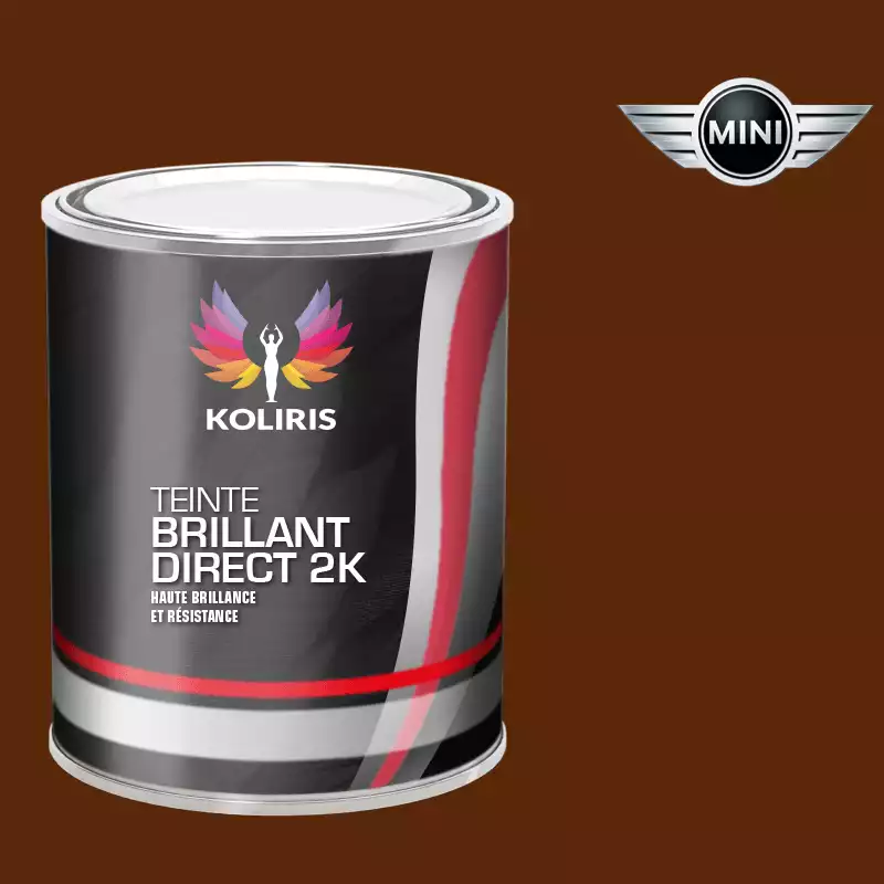 Peinture voiture brillant direct VOC420 Mini