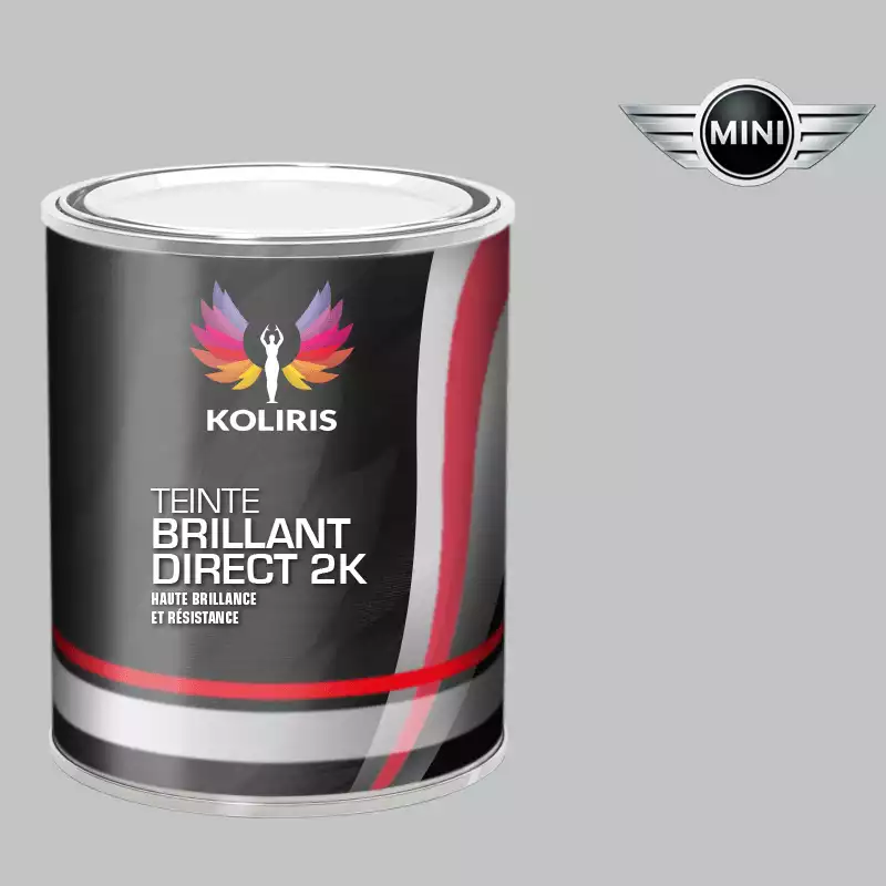 Peinture voiture brillant direct VOC420 Mini