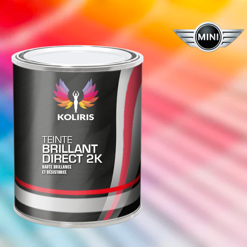 Peinture voiture brillant direct VOC420 Mini