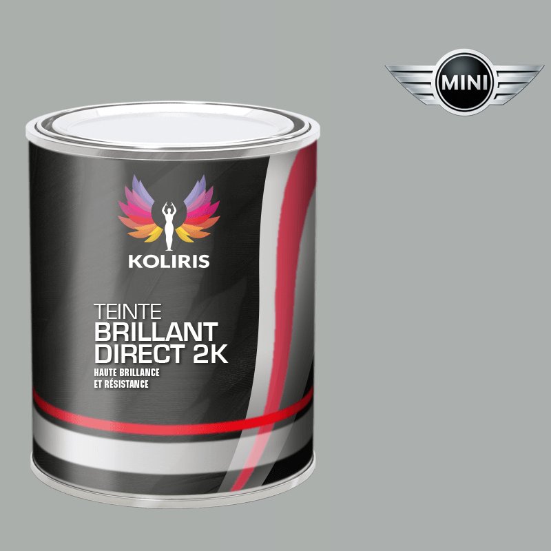 Peinture voiture brillant direct VOC420 Mini