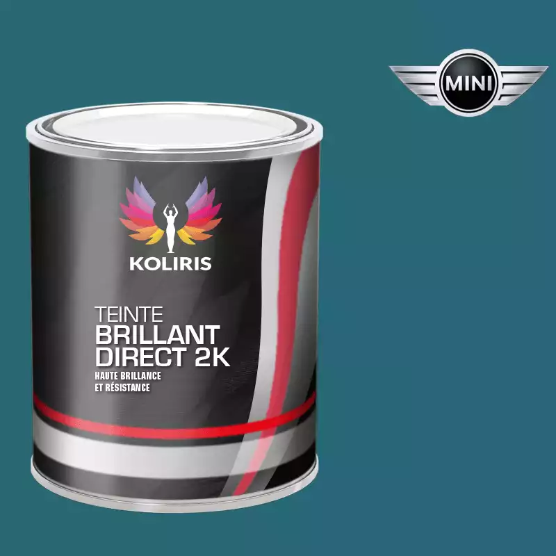 Peinture voiture brillant direct VOC420 Mini