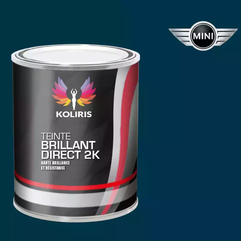 Peinture voiture brillant direct VOC420 Mini