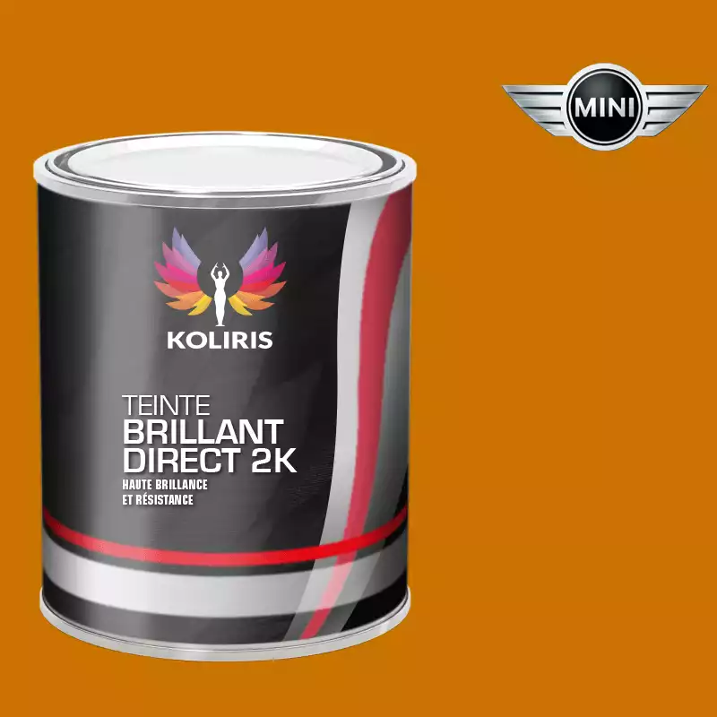 Peinture voiture brillant direct VOC420 Mini