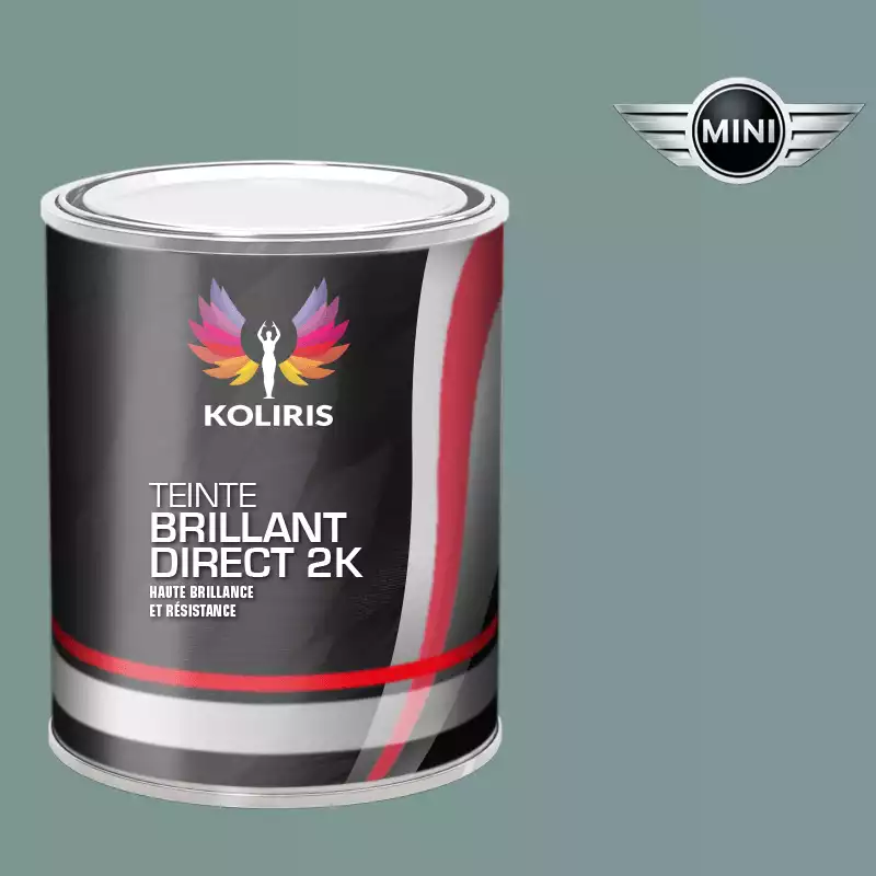 Peinture voiture brillant direct VOC420 Mini