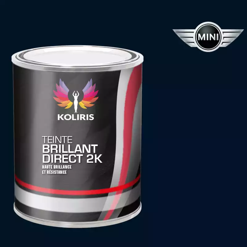 Peinture voiture brillant direct VOC420 Mini