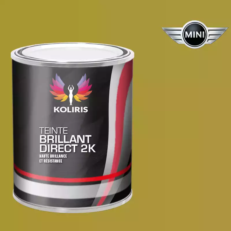 Peinture voiture brillant direct VOC420 Mini