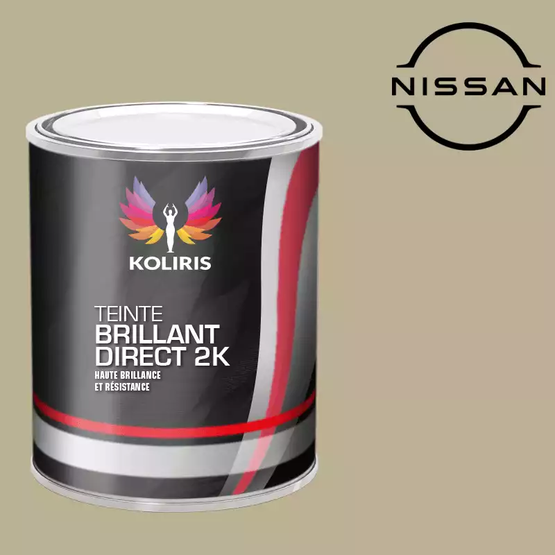 Peinture voiture brillant direct VOC420 Nissan