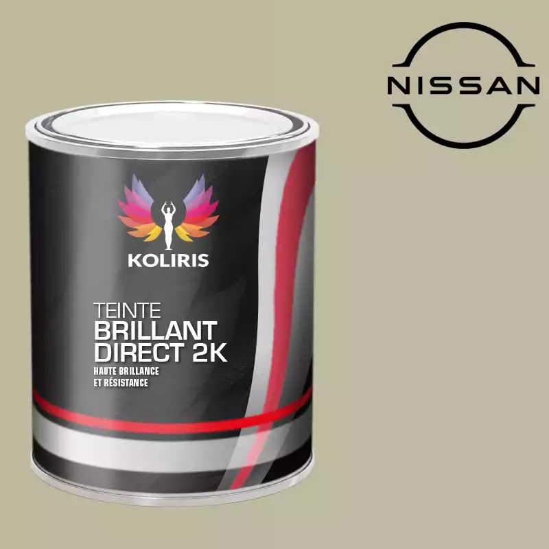 Peinture voiture brillant direct VOC420 Nissan