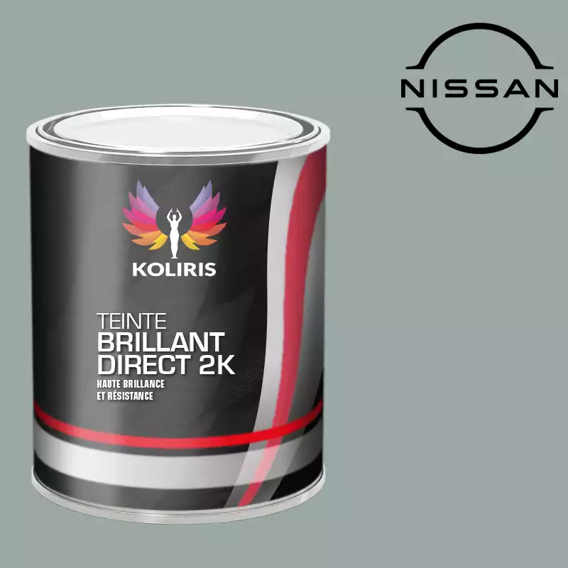 Peinture voiture brillant direct VOC420 Nissan