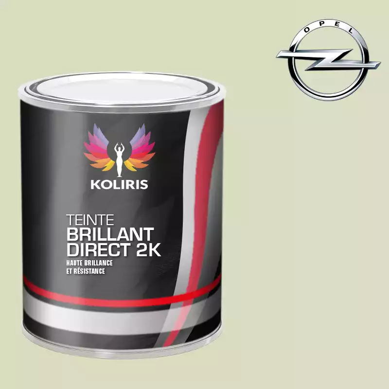 Peinture voiture brillant direct VOC420 Opel