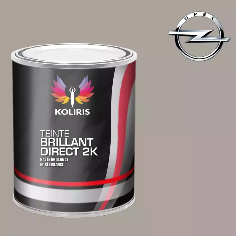 Peinture voiture brillant direct VOC420 Opel