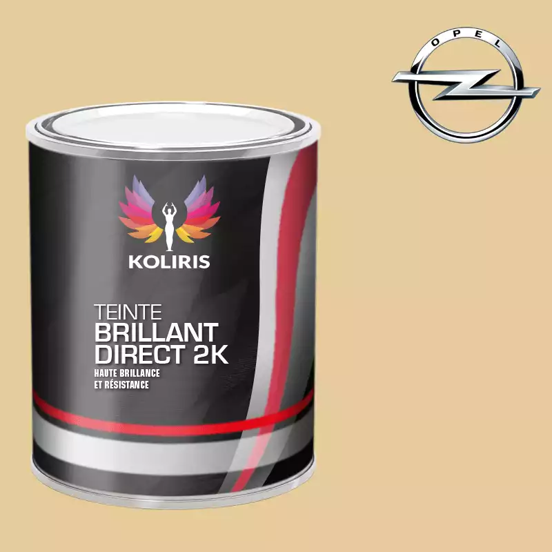 Peinture voiture brillant direct VOC420 Opel