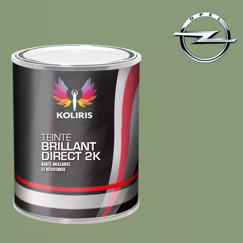 Peinture voiture brillant direct VOC420 Opel