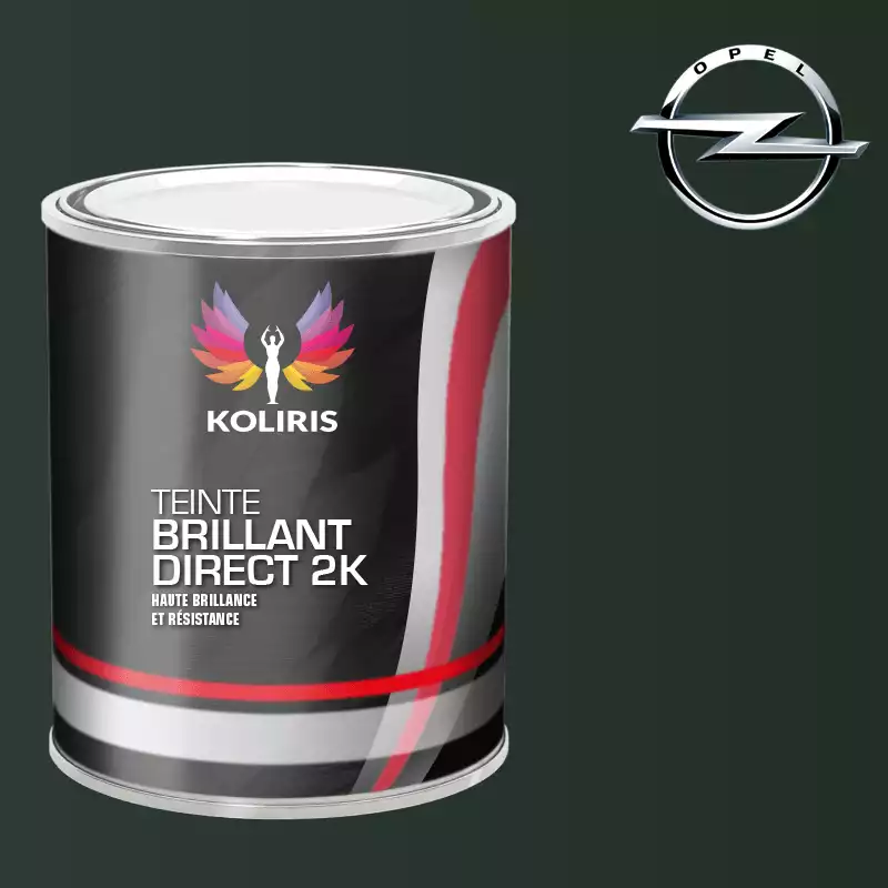 Peinture voiture brillant direct VOC420 Opel