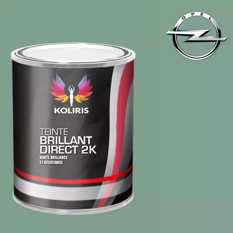 Peinture voiture brillant direct VOC420 Opel