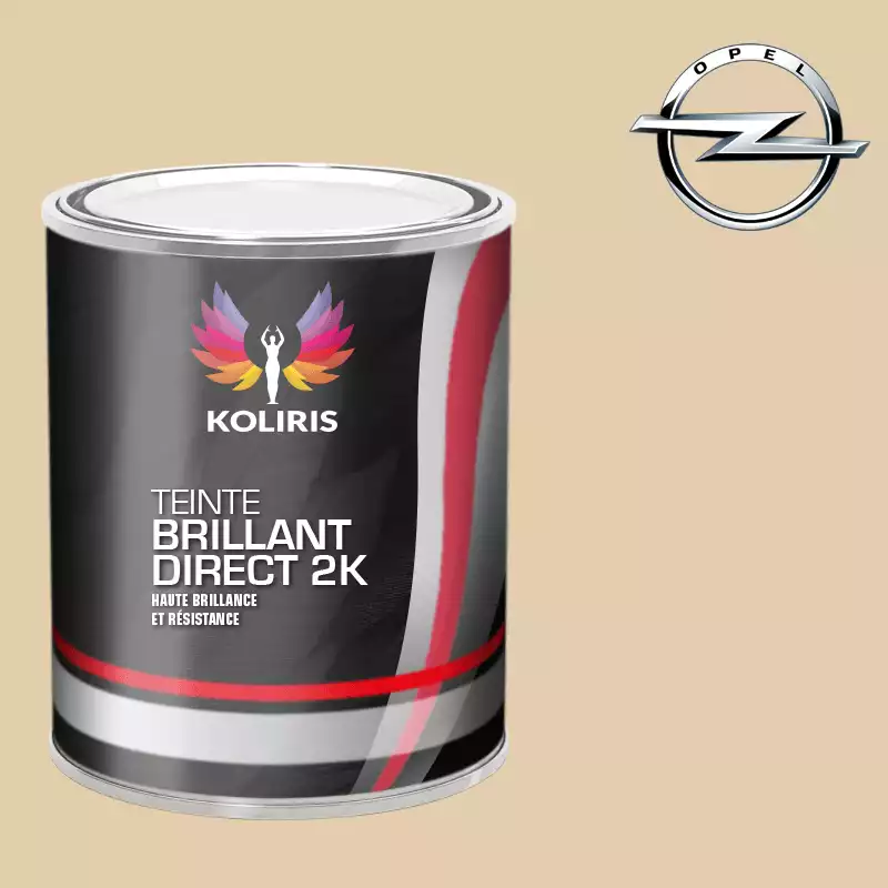 Peinture voiture brillant direct VOC420 Opel