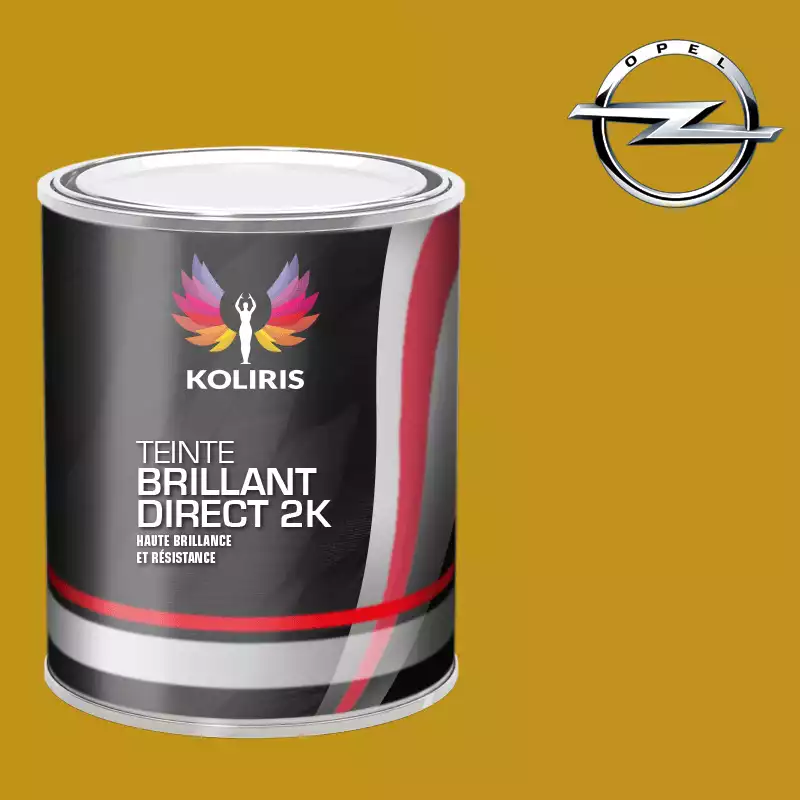 Peinture voiture brillant direct VOC420 Opel