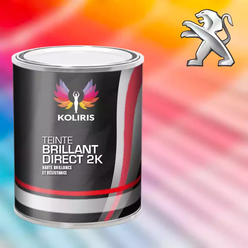 Peinture voiture brillant direct VOC420 Peugeot