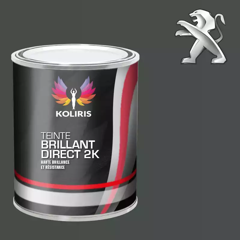 Peinture voiture brillant direct VOC420 Peugeot