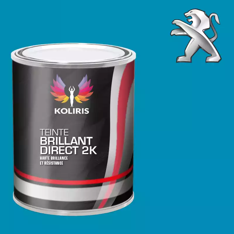 Peinture voiture brillant direct VOC420 Peugeot