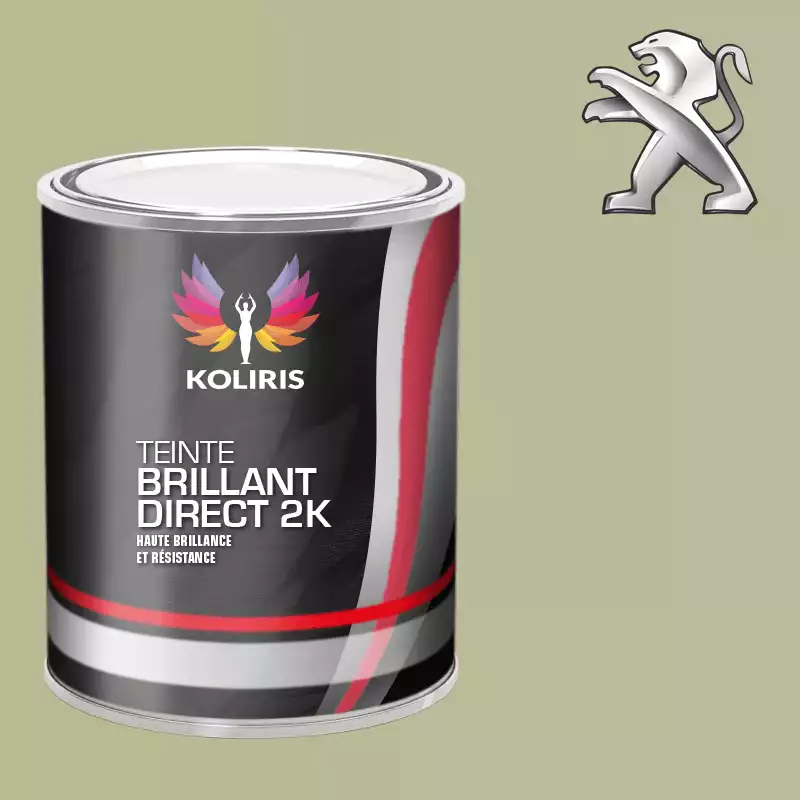 Peinture voiture brillant direct VOC420 Peugeot