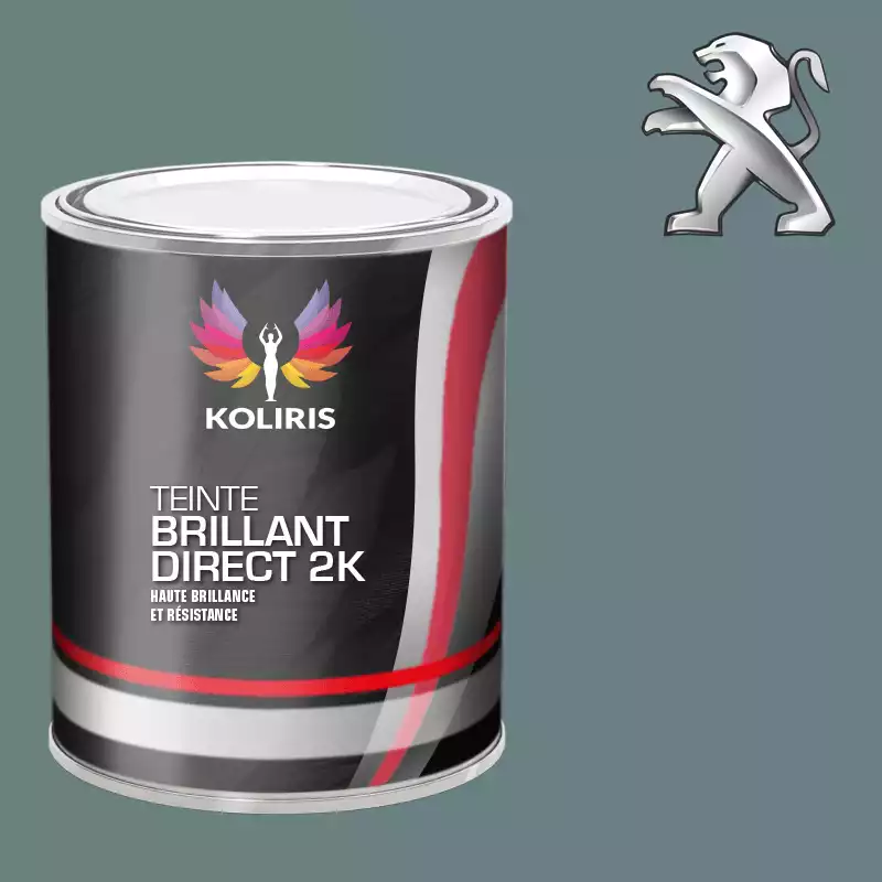 Peinture voiture brillant direct VOC420 Peugeot