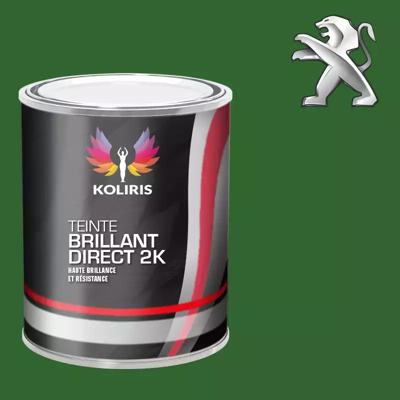 Peinture voiture brillant direct VOC420 Peugeot