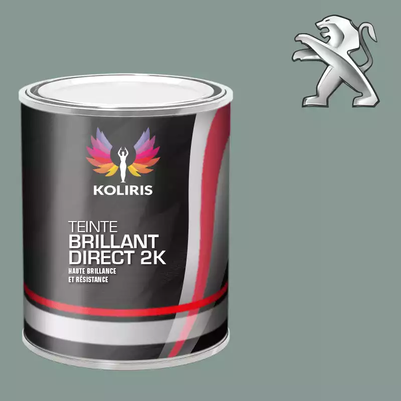 Peinture voiture brillant direct VOC420 Peugeot