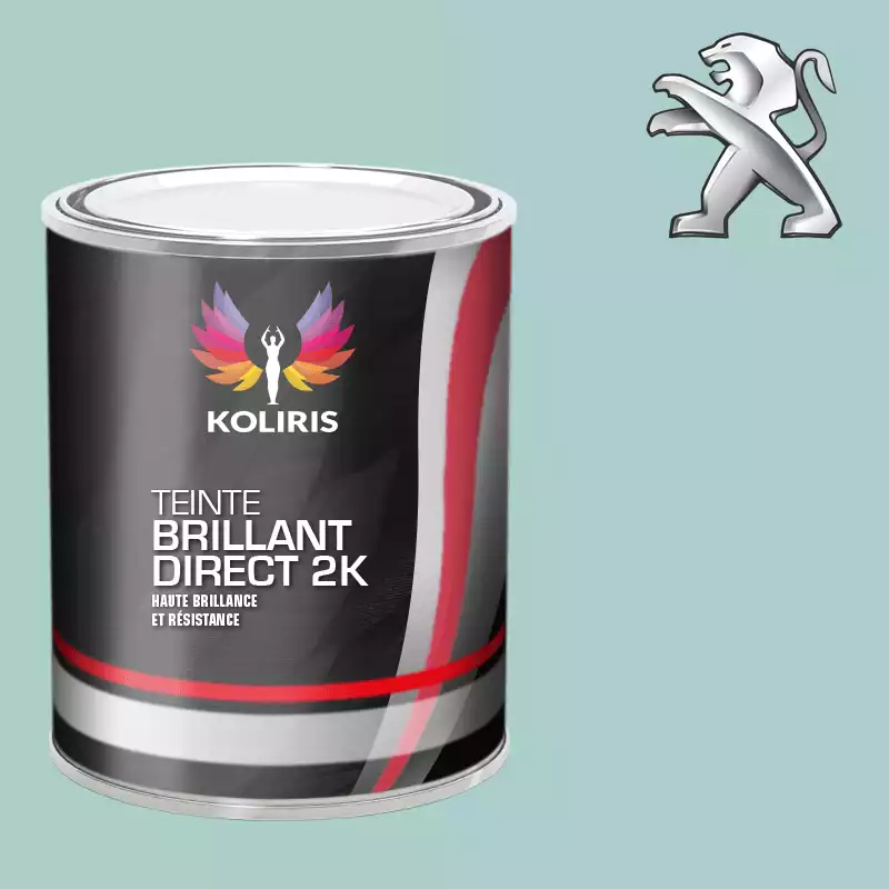 Peinture voiture brillant direct VOC420 Peugeot