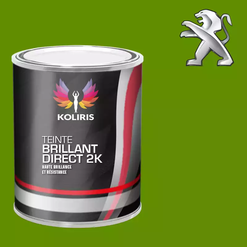 Peinture voiture brillant direct VOC420 Peugeot