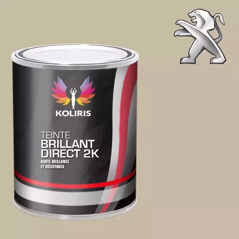 Peinture voiture brillant direct VOC420 Peugeot