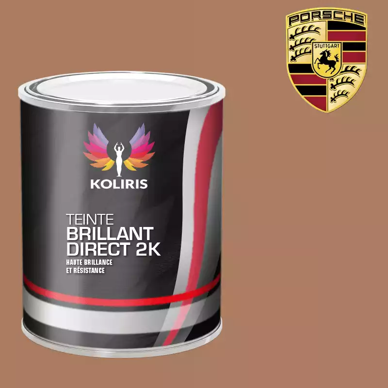 Peinture voiture brillant direct VOC420 Porsche