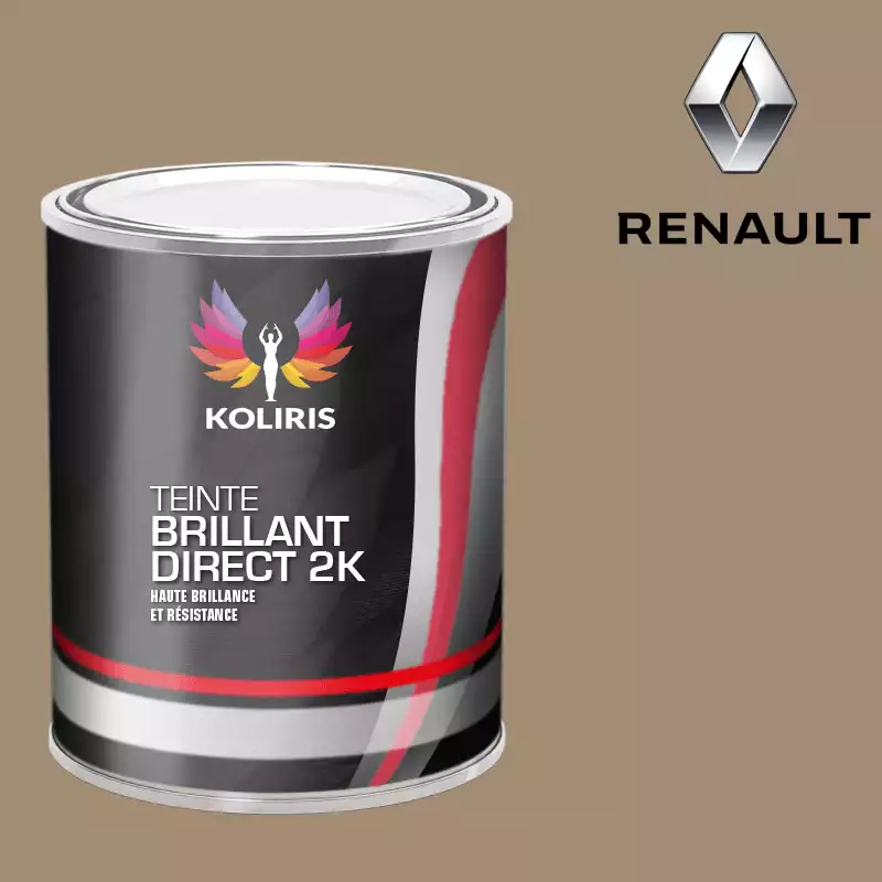 Peinture voiture brillant direct VOC420 Renault