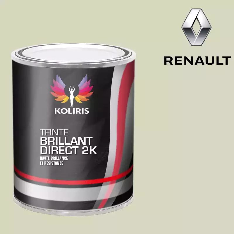 Peinture voiture brillant direct VOC420 Renault