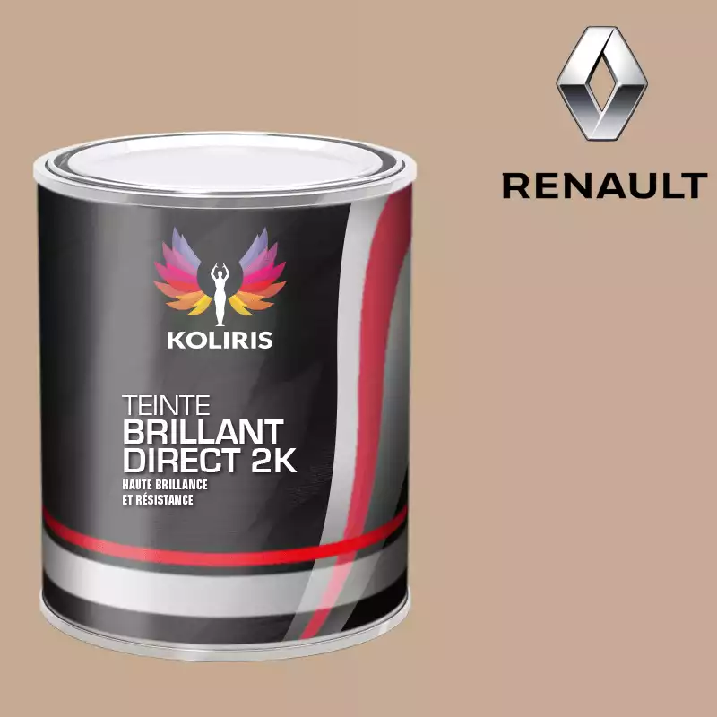 Peinture voiture brillant direct VOC420 Renault