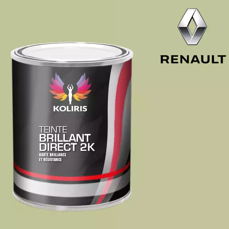 Peinture voiture brillant direct VOC420 Renault