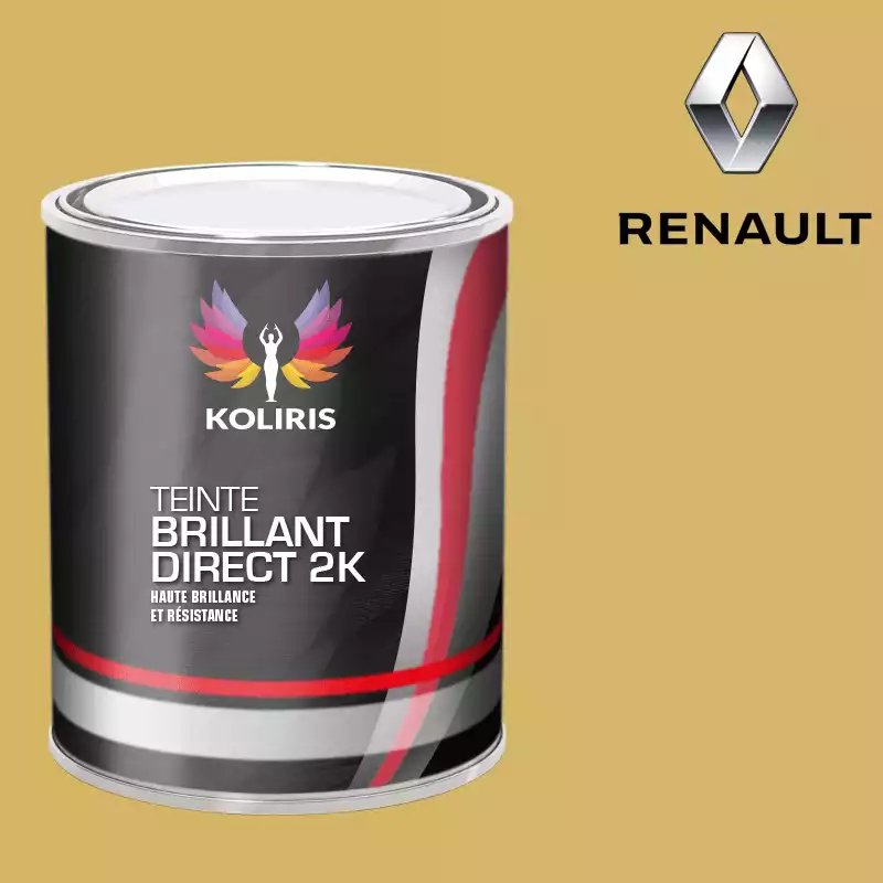 Peinture voiture brillant direct VOC420 Renault