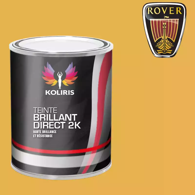 Peinture voiture brillant direct VOC420 Rover