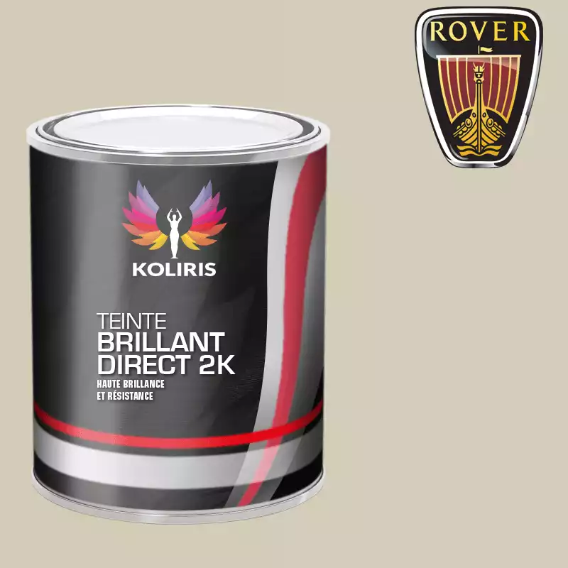 Peinture voiture brillant direct VOC420 Rover