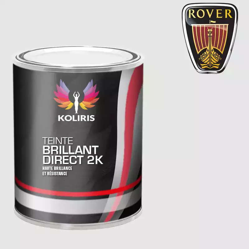 Peinture voiture brillant direct VOC420 Rover